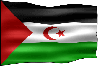 viva sahara